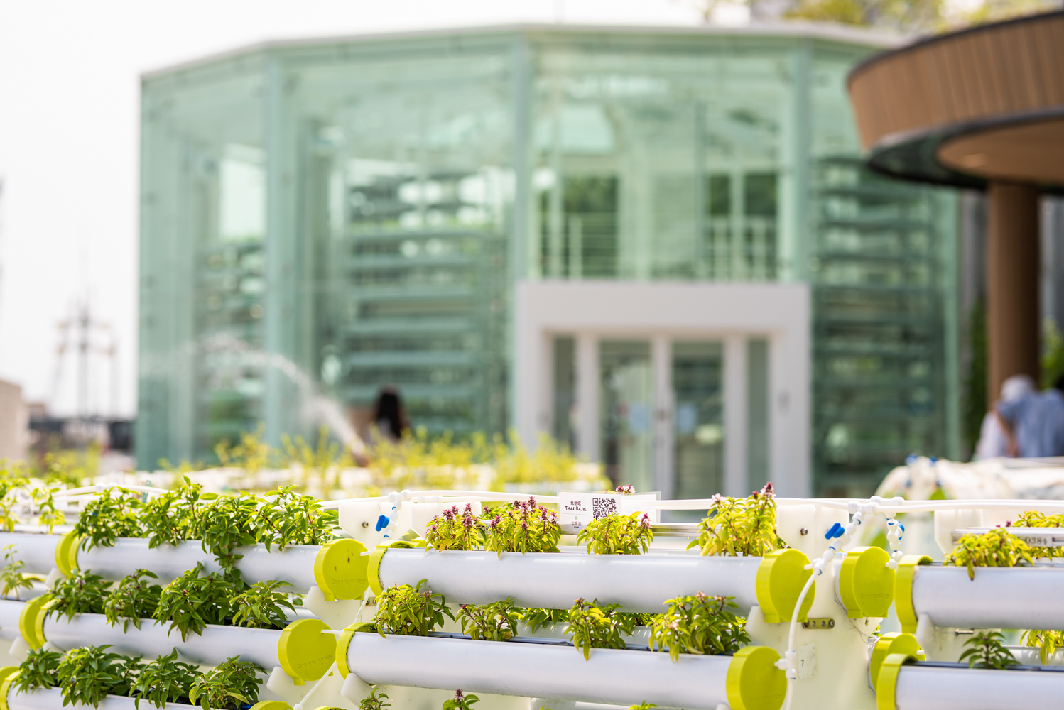 news: k-farm hydroponic garden introduce a smart and inclusive 