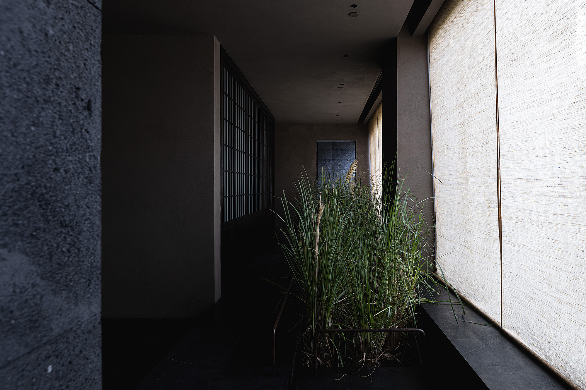 a dramatic oriental atmosphere at a teahouse in chengdu: project by ...