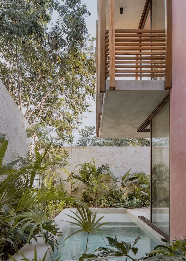 Tropical House / Jaque Studio