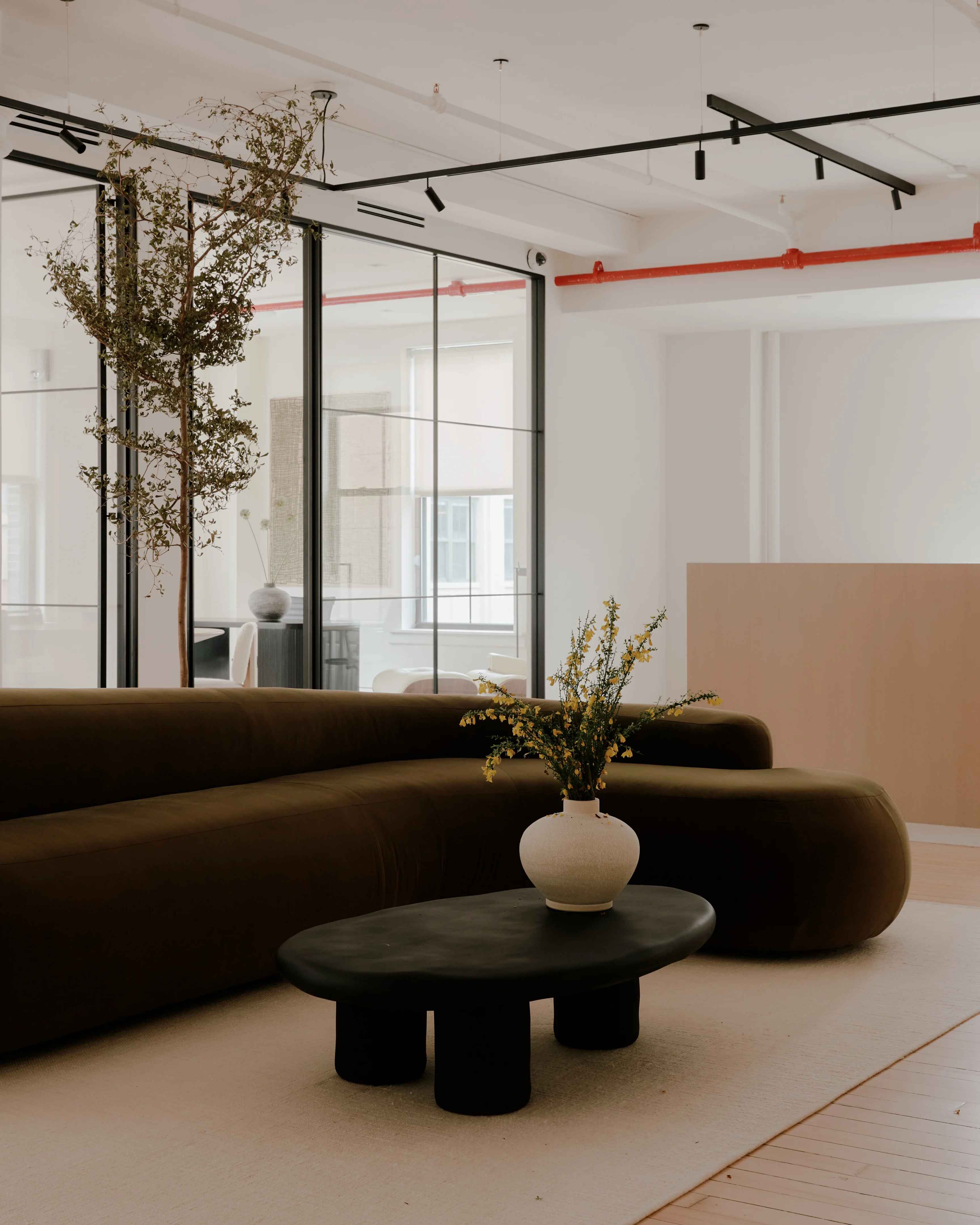 inside elmo studios’ warmly reimagined furniture.com hq in new york ...