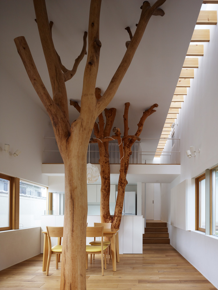 tips: 7 benefits of having indoor tree at home | the design story