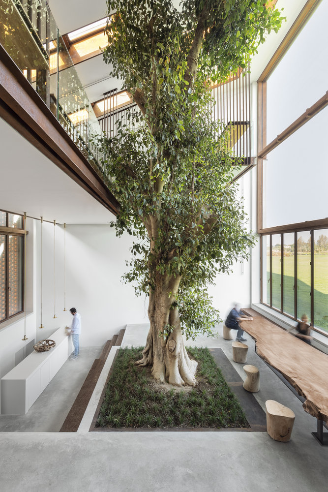 news: 7 contemporary home designs with indoor trees | the design story