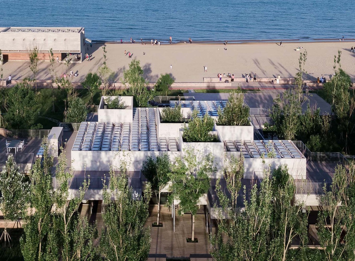 a tranquil concrete-based restaurant inspired by seashore library