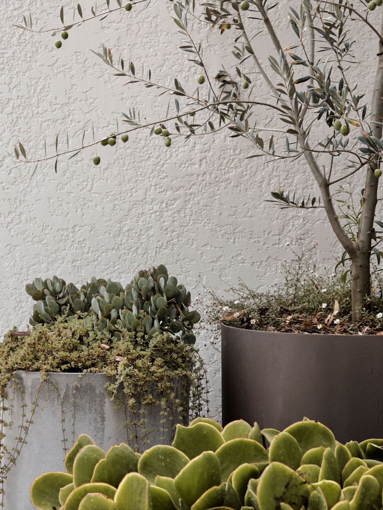 news: alexander & co combines sustainability and innovation in spotted ...